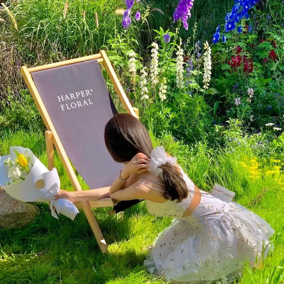 反叛的鲁路修剧场版1：兴道